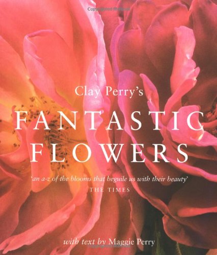 Stock image for Clay Perry's Fantastic Flowers for sale by AwesomeBooks