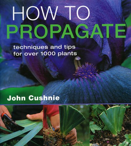 How to Propagate : Techniques and Tips
