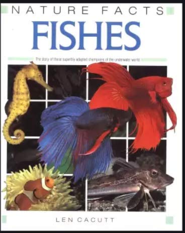 Beispielbild fr Fishes: Nature Facts zum Verkauf von AwesomeBooks