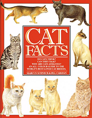 Imagen de archivo de Cat Facts a la venta por AwesomeBooks