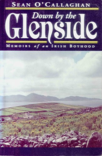 Imagen de archivo de Down by the Glenside: Memoirs of an Irish Boyhood a la venta por ThriftBooks-Dallas