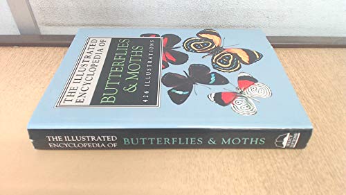 Stock image for The Illustrated Encyclopedia of Butterflies and Moths for sale by WorldofBooks