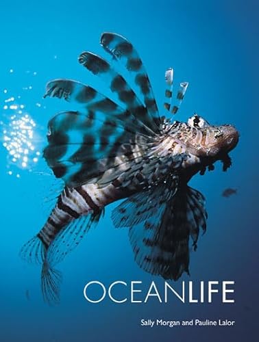 Beispielbild fr Ocean Life zum Verkauf von Books of the Smoky Mountains