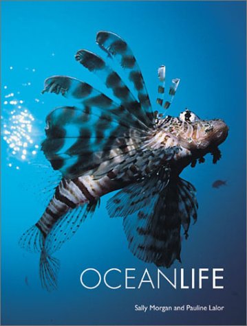 Stock image for Ocean Life for sale by Better World Books: West