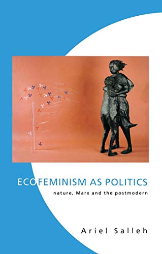 Stock image for Ecofeminism as Politics: Nature, Marx and the Post Modern for sale by Smith Family Bookstore Downtown