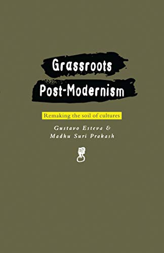 Imagen de archivo de Grassroots Post-Modernism: Remaking the Soil of Cultures (Critique Influence Change) a la venta por The Maryland Book Bank