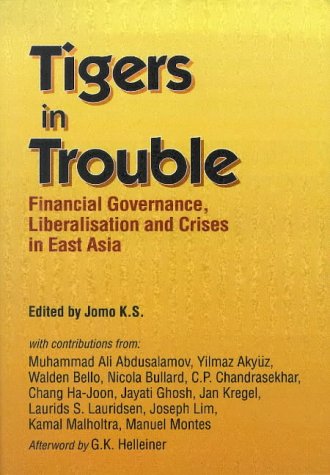 Stock image for Tigers in Trouble: Financial Governance, Liberalization and the Crises in East Asia for sale by HPB-Red