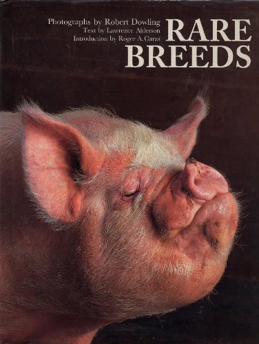 Stock image for Rare Breeds for sale by Reuseabook