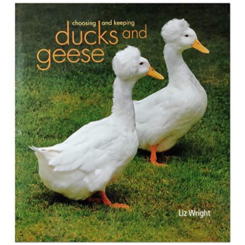 9781856753012: Choosing and Keeping Ducks and Geese