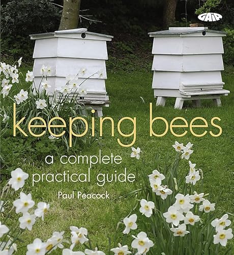 Stock image for Keeping Bees: A Complete Practical Guide. Paul Peacock for sale by ThriftBooks-Atlanta