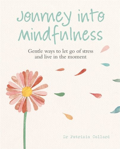 Imagen de archivo de Journey into Mindfulness: Gentle Ways to Let Go of Stress and Live in the Moment a la venta por SecondSale