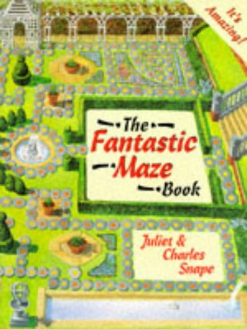 Imagen de archivo de The Fantastic Maze Book a la venta por Reuseabook