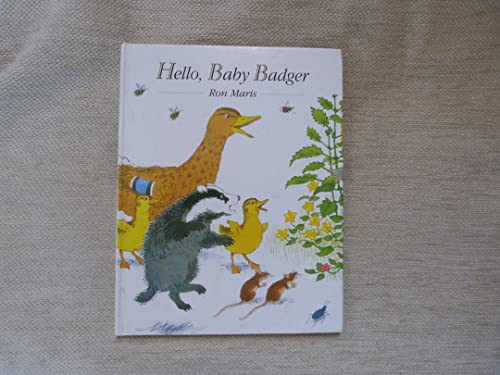 9781856812610: Hello Baby Badger