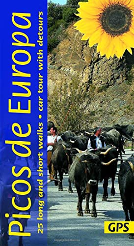 Stock image for Picos De Europa Guide: 25 Long And Short Walks With Detailed Maps And Gps; Car Tour With Pull-Out Map for sale by GreatBookPrices