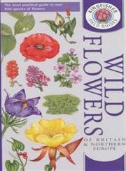 Imagen de archivo de Wild Flowers of Britain and Northern Europe (Kingfisher field guides) a la venta por WorldofBooks