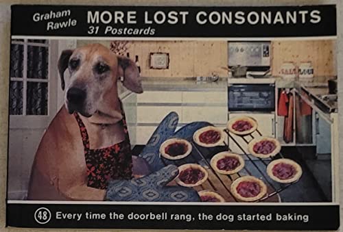 9781857020625: More Lost Consonants (A "Guardian" Book)