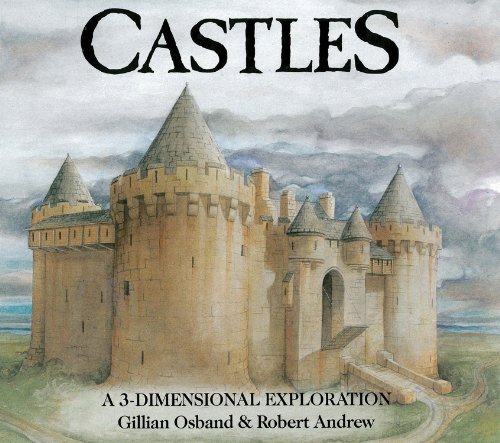 Stock image for Castles: a 3-Dimensional Exploration (3-dimensional Exploration Books) for sale by WorldofBooks
