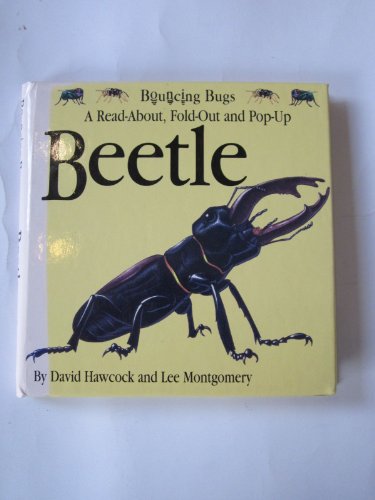 9781857070873: Bouncing Bugs: Beetle (Bouncing Bugs)