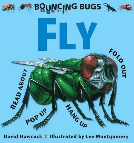 Stock image for Bouncing Bugs - Fly for sale by MusicMagpie
