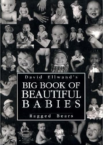 Beispielbild fr Big Book of Beautiful Babies zum Verkauf von Goodwill