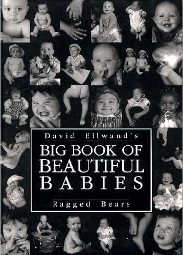 Stock image for Big Book of Beautiful Babies for sale by SecondSale