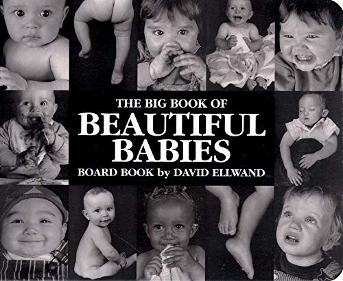Stock image for Big Book of Beautiful Babies Board Book for sale by Goldstone Books