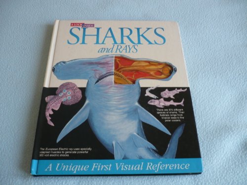 9781857240757: Sharks and Rays (Look Inside Books)