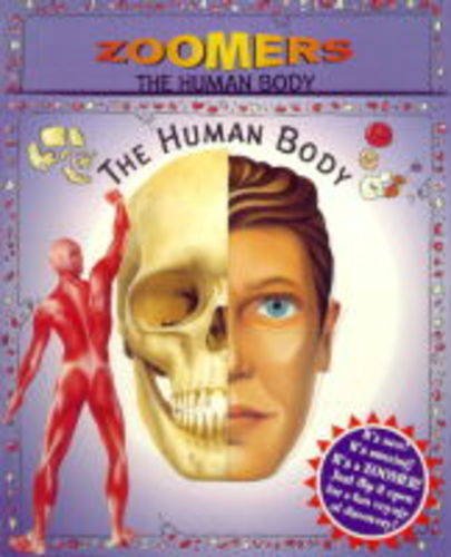 Beispielbild fr The Human Body (Zoomers S.) zum Verkauf von WorldofBooks