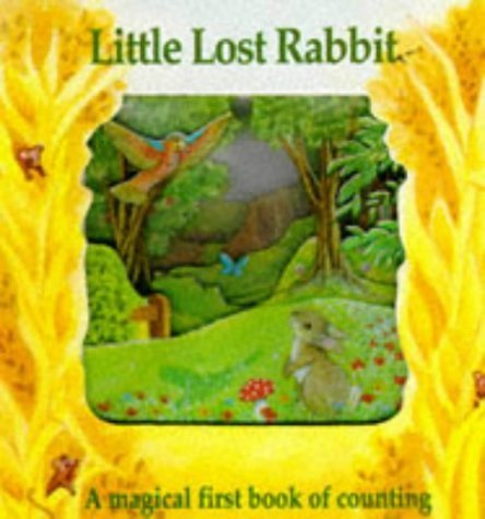 Stock image for Little Lost Rabbit (Magic Window Books) (Magic Windows: Pull the Tabs! Change the Pictures!) for sale by The Book Spot