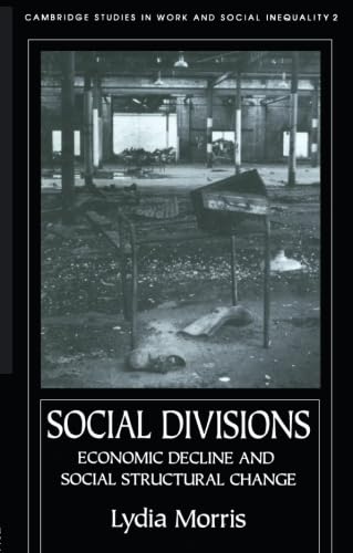 Stock image for Social Divisions: Economic Decline And Social Structural Change for sale by Lady Lisa's Bookshop