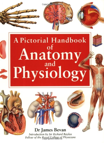 Beispielbild fr A Pictorial Handbook of Anatomy and Physiolog zum Verkauf von ThriftBooks-Dallas