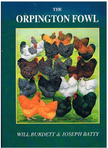 9781857363432: The Orpington Fowl