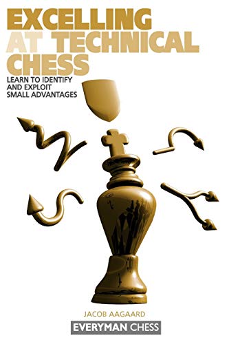 Imagen de archivo de Excelling at Technical Chess: Learn To Identify And Exploit Small Advantages a la venta por Roundabout Books