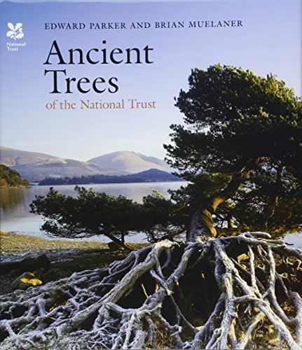 Stock image for Ancient Trees of the National Trust for sale by Reuseabook