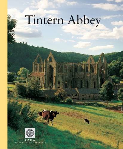 Stock image for Cadw Guidebook: Tintern Abbey (Cadw Guidebook) (CADW Guidebooks) for sale by SecondSale