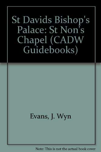 9781857601664: St Davids Bishop's Palace: St Non's Chapel (CADW Guidebooks) [Idioma Ingls]