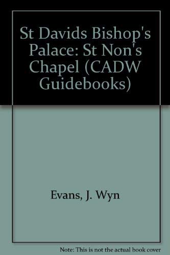 Imagen de archivo de Cadw Guidebook: St Davids Bishop's Palace: (Including St Non's Chapel) (Cadw Guidebooks) a la venta por Wonder Book