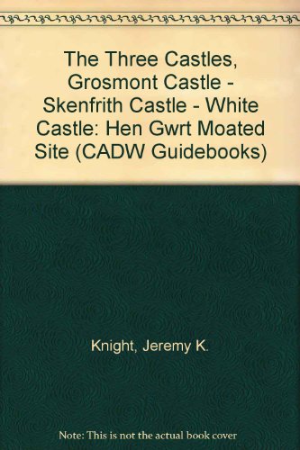 Stock image for The Three Castles, Grosmont Castle - Skenfrith Castle - White Castle: Hen Gwrt Moated Site (CADW Guidebooks) for sale by WorldofBooks