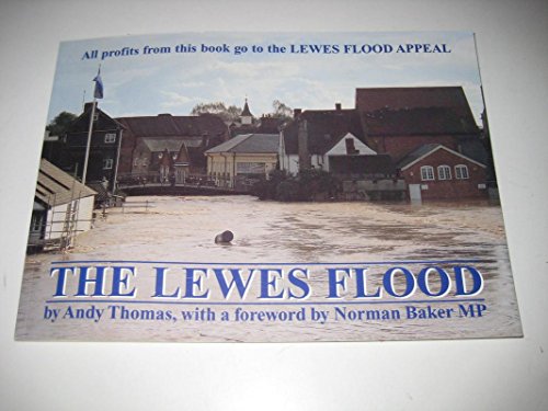 Beispielbild fr The Lewes Flood zum Verkauf von WorldofBooks