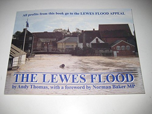 Imagen de archivo de The Lewes Flood a la venta por WorldofBooks