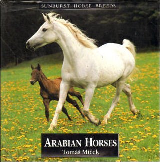Stock image for Arab Horses (Sunburst Horse Breeds) for sale by Once Upon A Time Books