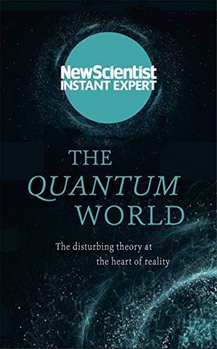 Imagen de archivo de The Quantum World: The Disturbing Theory at the Heart of Reality a la venta por More Than Words