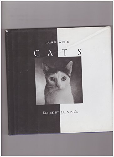Imagen de archivo de BLACK AND WHITE CATS a la venta por WorldofBooks