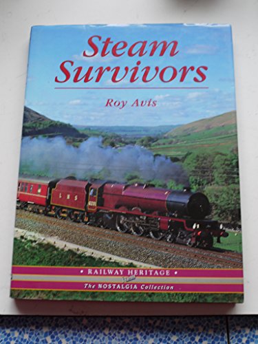Imagen de archivo de Steam Survivors (Railway Heritage) a la venta por WorldofBooks