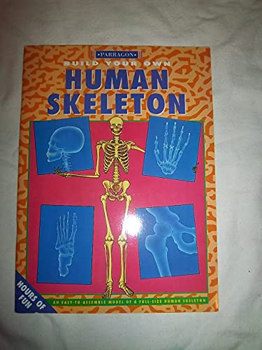 9781858134635: Human Skeleton (Build Your Own S.)