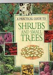 Stock image for Practical Guide to Shrubs and Small Trees for sale by WorldofBooks