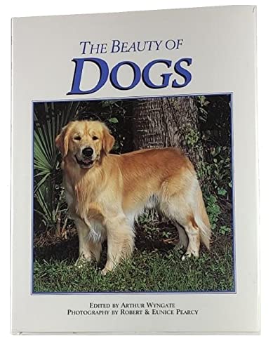 9781858412009: Beauty of Dogs