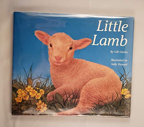 Beispielbild fr Little Lamb zum Verkauf von AwesomeBooks