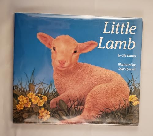 Stock image for Little Lamb for sale by BookHolders