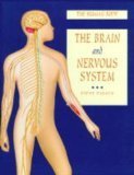 9781858680842: Brain and Nervous System (Human Body) by Parker, Steve